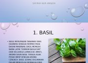 Resep Bumbu Dasar Hitam