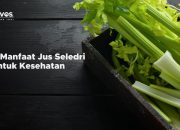 Resep Jus Seledri Murah