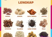 Resep Oseng Paru Ayam Khas Indonesia