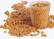 Resep 331 Kacang Kedelai Goreng untuk Camilan atau Toping Masakan