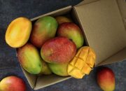 Resep Sayuran Beku dari Mclee Kitchen