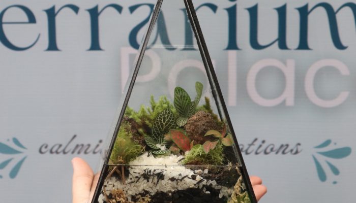 Resep Air Ragi Salak (1166) oleh Ati Agus Sapto